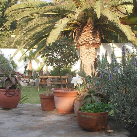 Ocean Melody Apartment Swakopmund Bagian luar foto