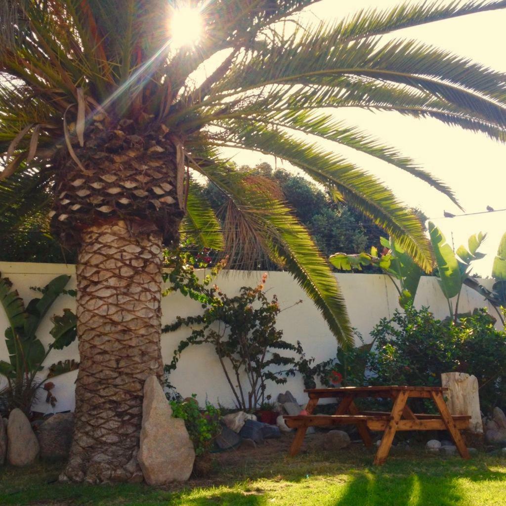 Ocean Melody Apartment Swakopmund Bagian luar foto