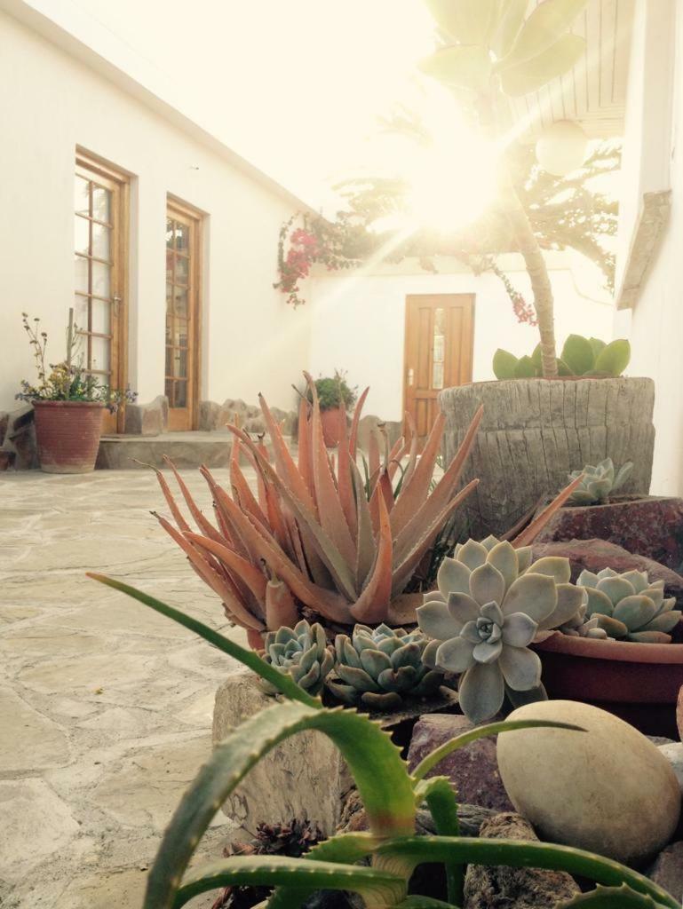 Ocean Melody Apartment Swakopmund Bagian luar foto
