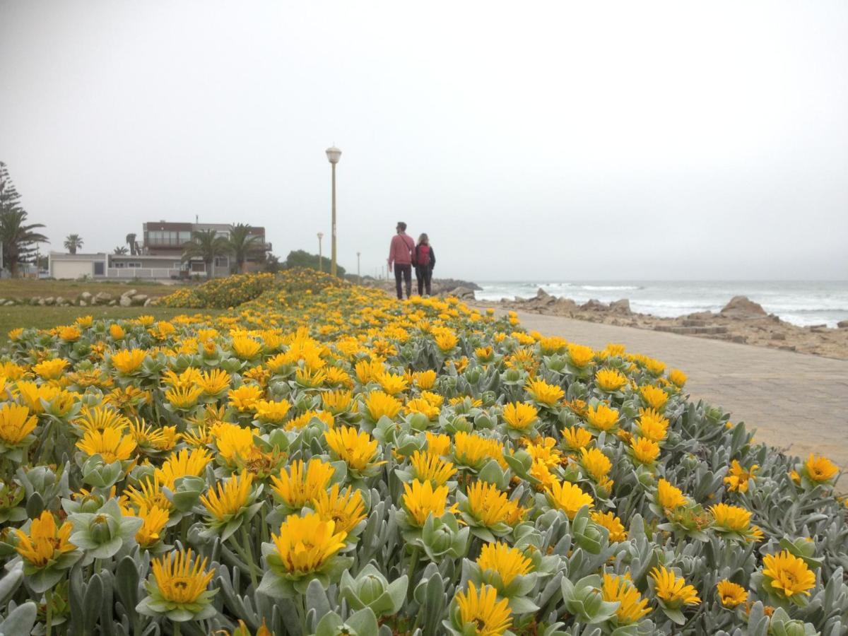 Ocean Melody Apartment Swakopmund Bagian luar foto