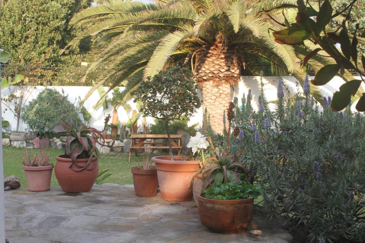 Ocean Melody Apartment Swakopmund Bagian luar foto